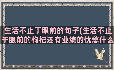 生活不止于眼前的句子(生活不止于眼前的枸杞还有业绩的忧愁什么意思)