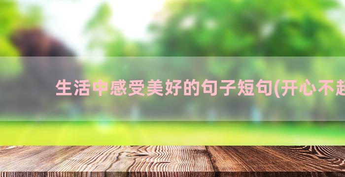 生活中感受美好的句子短句(开心不起来)