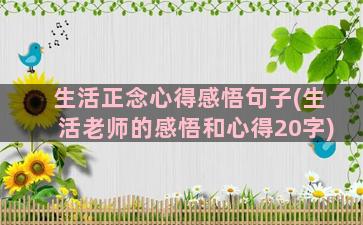 生活正念心得感悟句子(生活老师的感悟和心得20字)