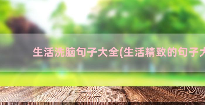 生活洗脑句子大全(生活精致的句子大全)