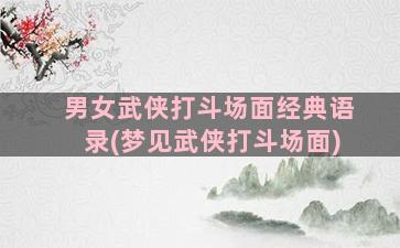 男女武侠打斗场面经典语录(梦见武侠打斗场面)