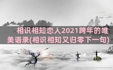 相识相知恋人2021跨年的唯美语录(相识相知又归零下一句)