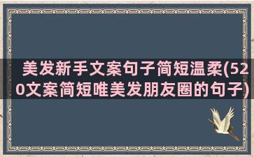 美发新手文案句子简短温柔(520文案简短唯美发朋友圈的句子)