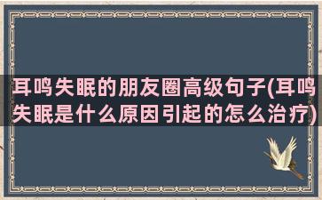 耳鸣失眠的朋友圈高级句子(耳鸣失眠是什么原因引起的怎么治疗)