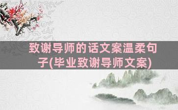 致谢导师的话文案温柔句子(毕业致谢导师文案)