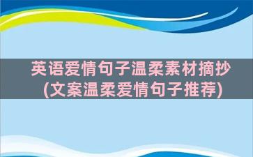 英语爱情句子温柔素材摘抄(文案温柔爱情句子推荐)