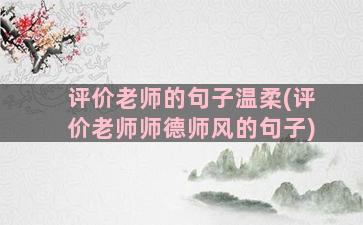 评价老师的句子温柔(评价老师师德师风的句子)