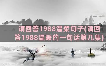 请回答1988温柔句子(请回答1988温暖的一句话第几集)