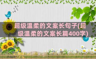 超级温柔的文案长句子(超级温柔的文案长篇400字)