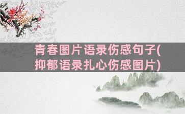 青春图片语录伤感句子(抑郁语录扎心伤感图片)