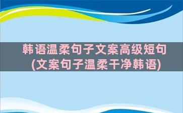 韩语温柔句子文案高级短句(文案句子温柔干净韩语)