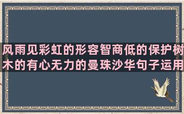 风雨见彩虹的形容智商低的保护树木的有心无力的曼珠沙华句子运用的描写方法(形容不经风雨怎见彩虹的句子)