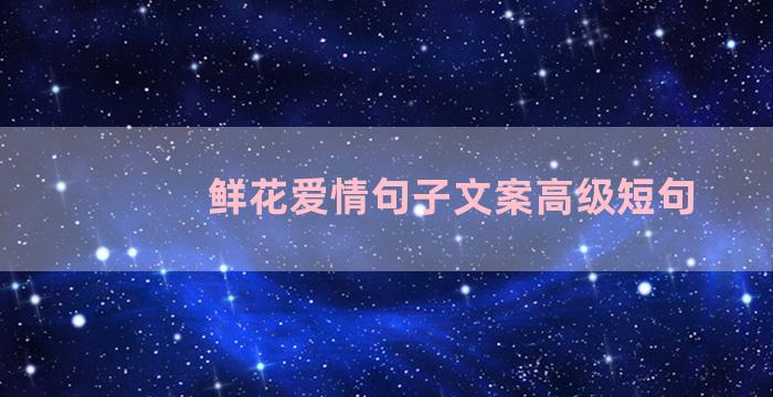 鲜花爱情句子文案高级短句